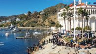 On a bluebird February day on Southern California’s Catalina Island, 561 pairs of fins were shoved onto feet, and a flotilla of divers headed down the beach for the 40th annual Avalon Harbor Underwater Cleanup. Divers, joined by over 150 […]