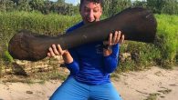 Divers Derek Demeter and Henry Sadler are used to finding prehistoric treasures when they trawl Central Florida waterways. But no amount of experience could prepare them for the massive surprise they found while diving in the Peace River earlier this […]