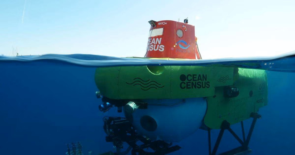 Eylül 2026’da, küresel deniz taksonomistlerinden oluşan bir grup, kurucu ortaklar Nippon