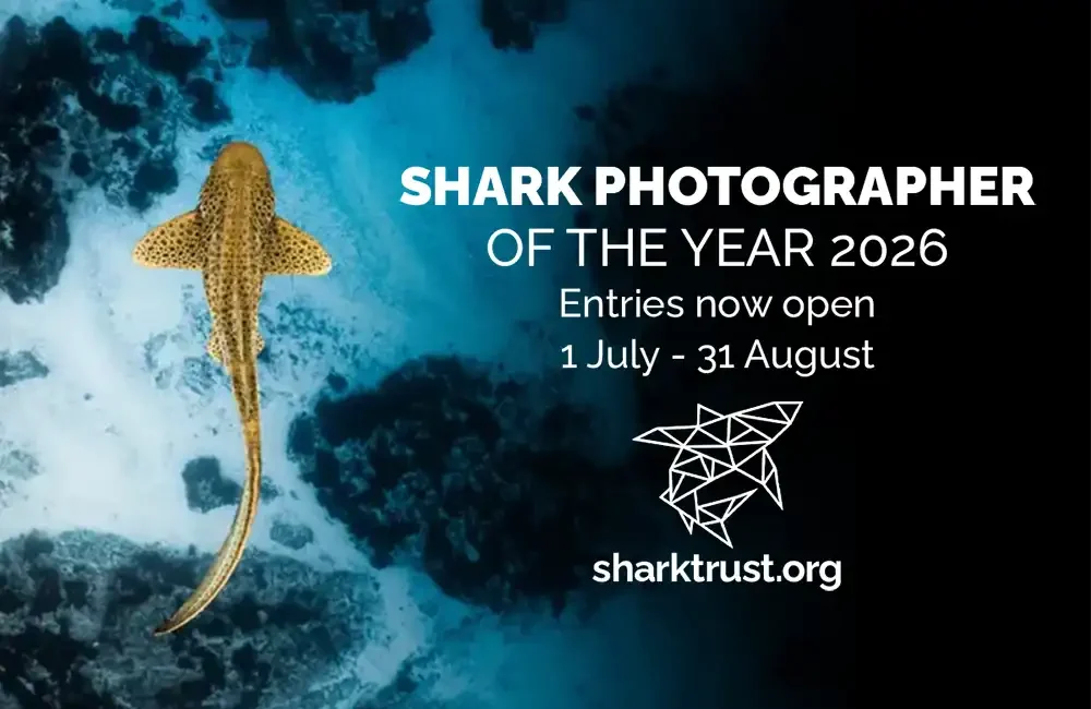 Following the immense success of last year’s competition, the Shark