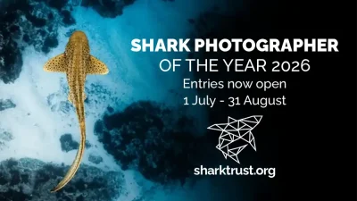 Following the immense success of last year’s competition, the Shark