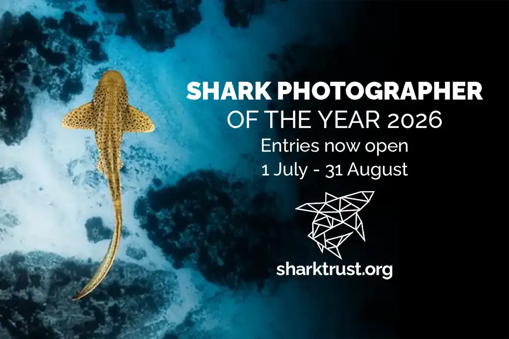 Following the immense success of last year’s competition, the Shark