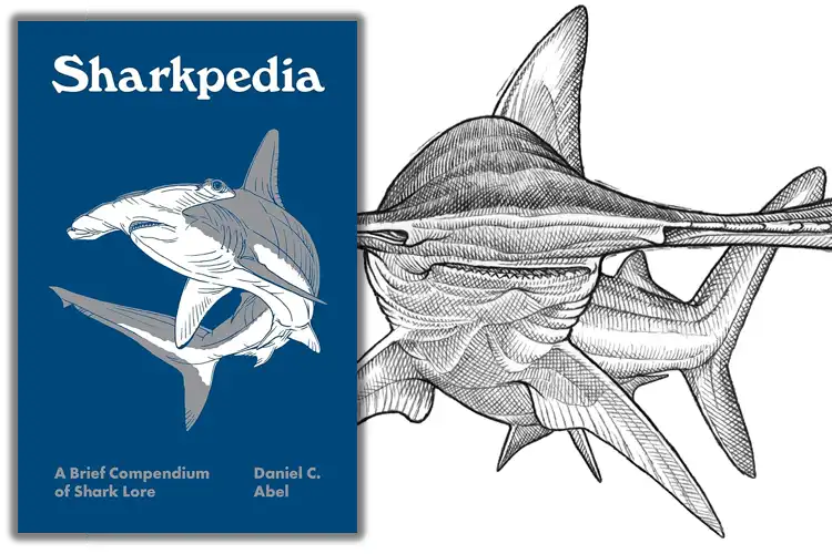 A pocket-size treat for shark lovers – a review of
