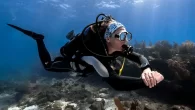 Canadian dive computer specialist Shearwater Research has announced a partnership with Avelo Labs, a training organisation based around an innovative new scuba diving technology which aims to ‘revolutionise’ how divers control their buoyancy underwater. organization and dive technology company renowned […]