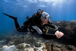 Canadian dive computer specialist Shearwater Research has announced a partnership