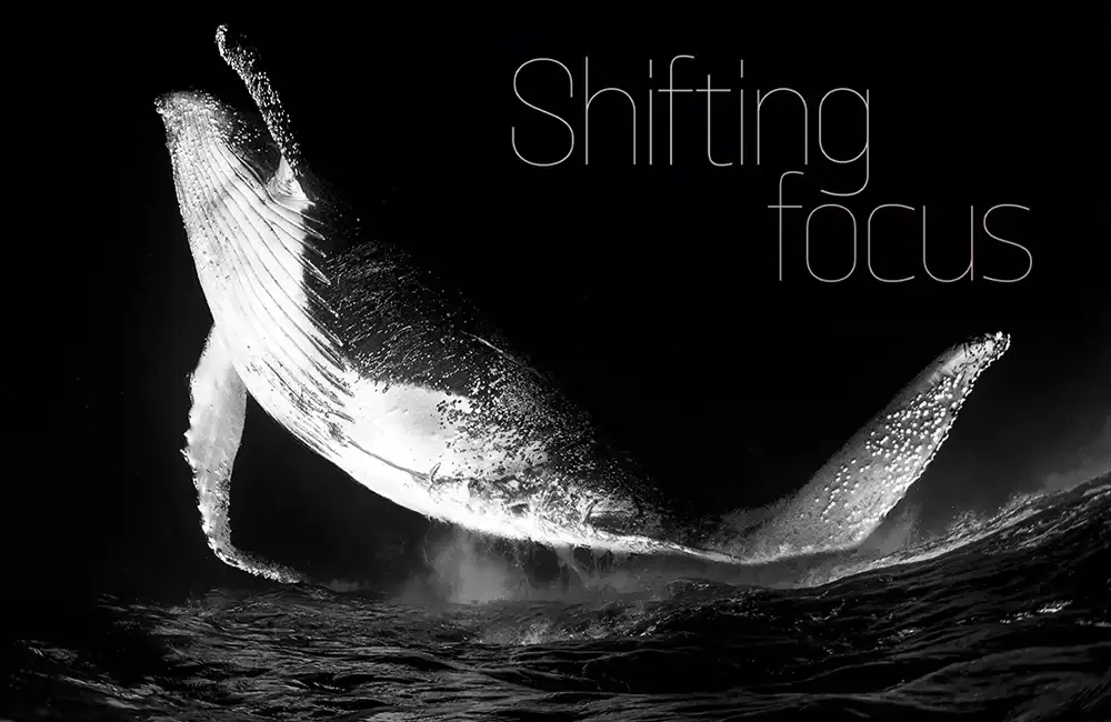 Fabi Fregonesi talks to DIVE about overcoming her fear of
