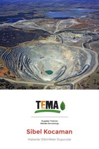 TEMA Vakfı, Maden ve Petrol Arama İşleri Genel Müdürlüğü (MAPEG)