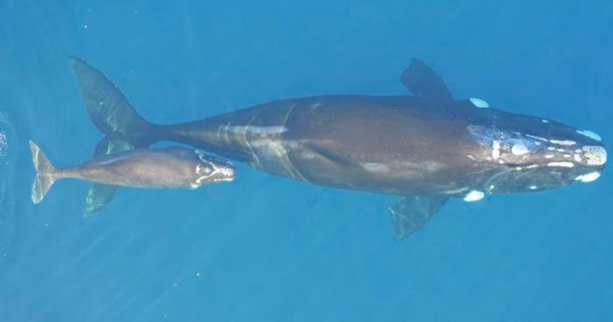 Bazı gezginler manzaralı rotayı tercih eder. Diğerleri ise hızlarını kesip