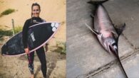 İtalyan sörfçü ve influencer Giulia Manfrini, Endonezya’nın Sumatra açıklarında popüler bir sörf noktası olan Masokut Adası’nda yaşanan trajik bir olayla gündeme geldi. 36 yaşındaki Manfrini, kılıçbalığının aniden suyun dışına sıçrayarak göğsüne saplanması sonucu ağır yaralandı. Kazaya şahit olan iki sörfçü, […]