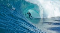 A 53-year-man has died of suspected shark bites while paddle boarding near a beach in Noumea, New Caledonia, prosecutors said Sunday, the latest in a number of attacks since the start of this year. The man was found lifeless on […]