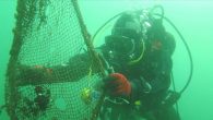 Çanakkale Boğazı ve adalar çevresinden 18 bin metrekare hayalet ağ ile ahtapot avcılığında kullanılan 10 kilometre uzunluğunda av malzemesi temizlendi. Çanakkale Tarım ve Orman Müdürü Erdem Karadağ, gazetecilere, “Denizlerin Terk Edilmiş Av Araçlarından Temizlenmesi” projesinin kontrolsüz avcılığı engelleyerek, biyolojik ve […]