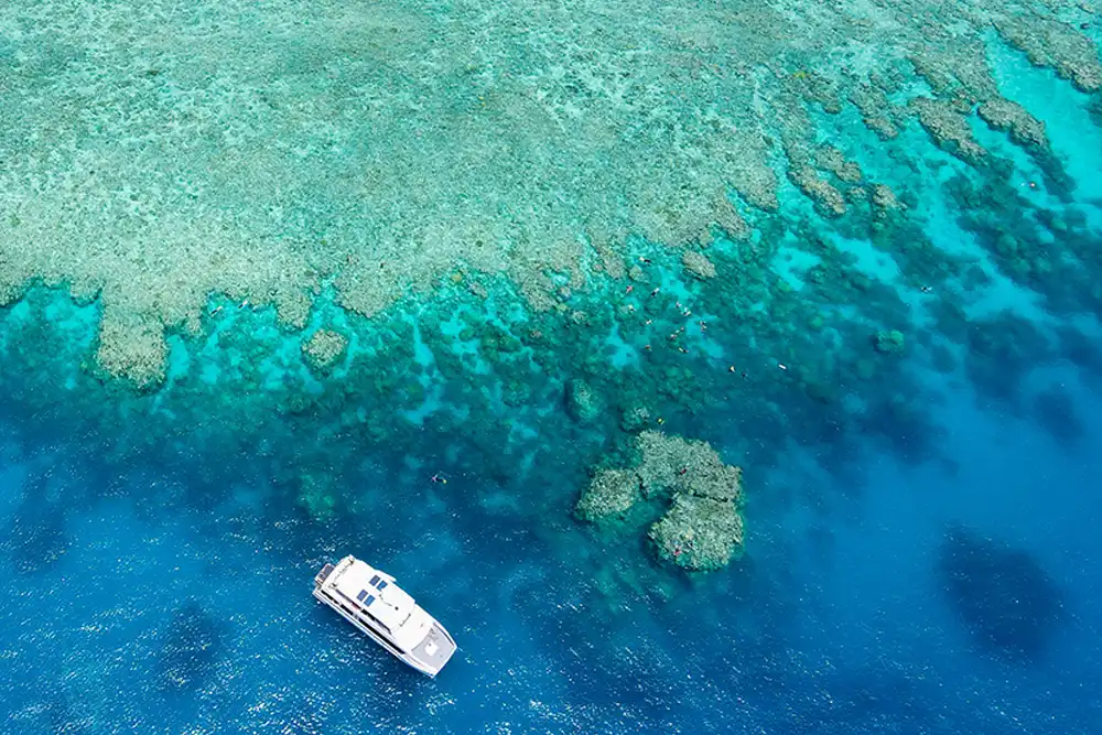 Great Barrier Reef tour operator fined following death of British snorkeller Cairns, Queensland-based tour operator Hostel Reef Trips has been fined