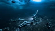 Alex Dawson’s UPY 2024 winning image (Photo: Alex Dawson/UPY 2024) The Underwater Photographer of the Year (UPY) 2025 contest is open, with entries accepted from 1 November 2024 until 4 January 2025. 2025 marks the 60th anniversary of the contest, […]