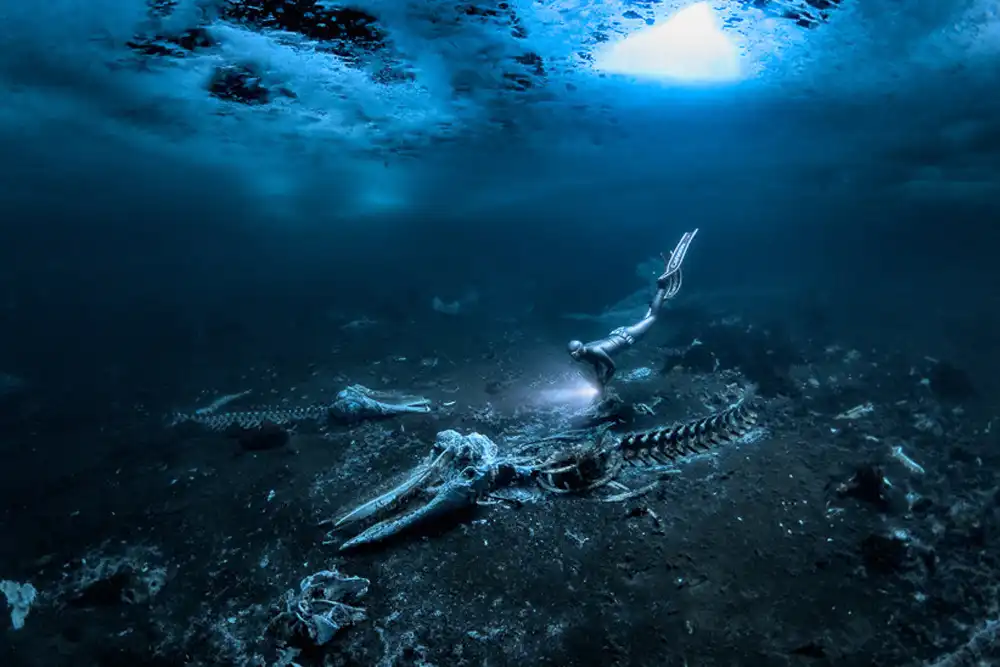Alex Dawson’s UPY 2024 winning image (Photo: Alex Dawson/UPY 2024)