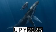 Alvaro Herrero’s humpback whale mother and calf wins Underwater Photographer of the Year 2025 Spanish photographer Alvaro Herrero has been named Underwater Photographer of the Year 2025. His photograph ‘Radiant Bond’ shows the special relationship between a mother humpback whale […]