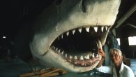 An Australian filmmaker and conservationist who shot some of the underwater scenes for the 1975 thriller Jaws says she’s seen the health of our oceans deteriorate significantly since the early days of her career. “No child today will ever ever […]