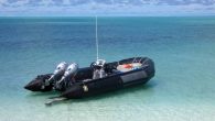 Federal officials had good news regarding critically endangered Hawaiian monk seals — the population in Hawaii appears to be holding steady due to recovery efforts. The National Oceanic and Atmospheric Administration reported this month that the monk seal population in […]