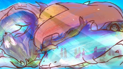 “Onların evi; sürekli daireler çizerek yüzmek zorunda kaldıkları ve çıkışı