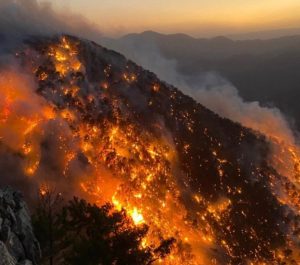 Orman yangınlarının sürdüğü Bodrum’un Çökertme Koyu’nda adeta can pazarı yaşandı.