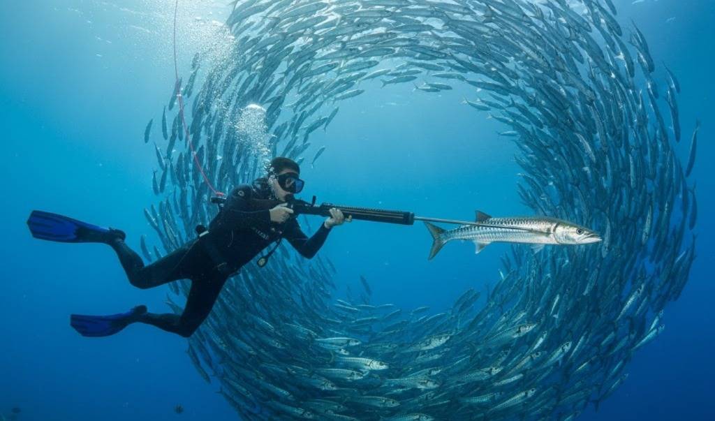 Zıpkınla balık avcılığına belge edinme ve kayıt olma zorunluluğu getiriliyor.